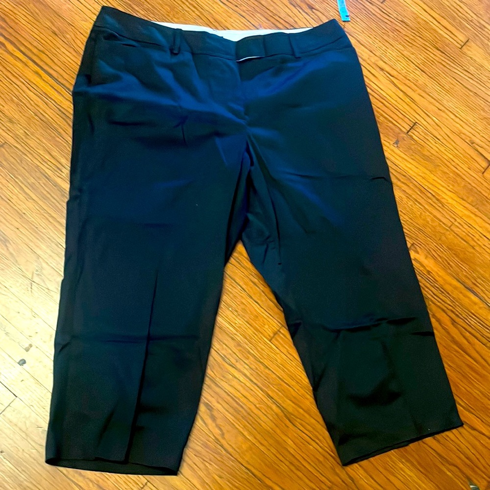 woman’s capri pants plus size 20